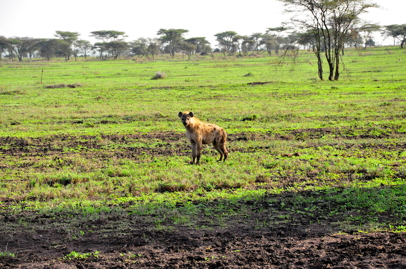 Melanie Heinrich Travel Images Africa